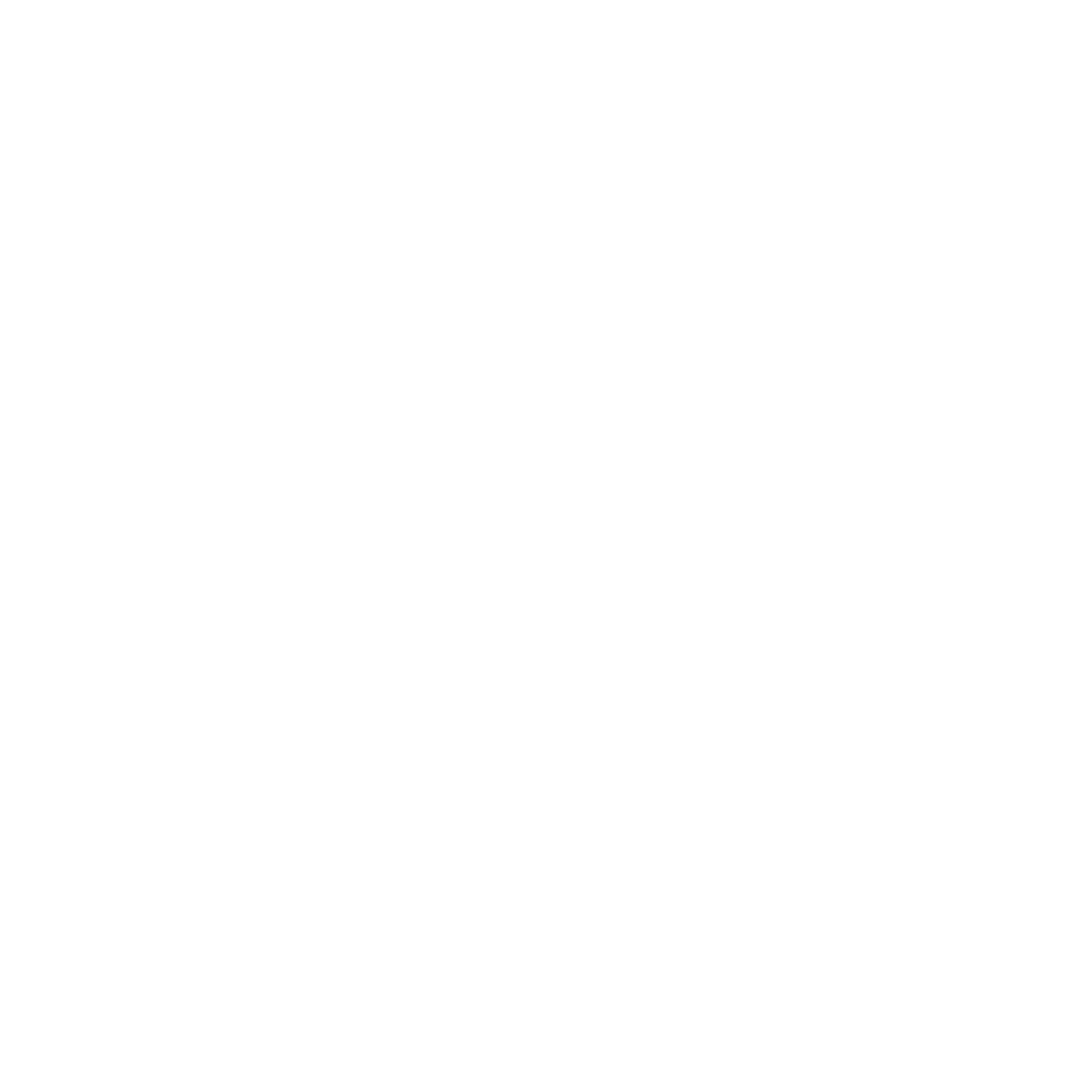 Zanini Contabilidade e Auditoria
